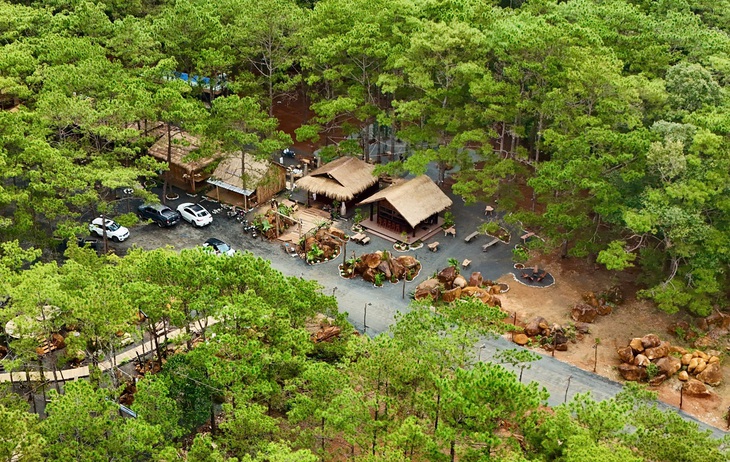 Phố đêm rừng thông Măng Đen